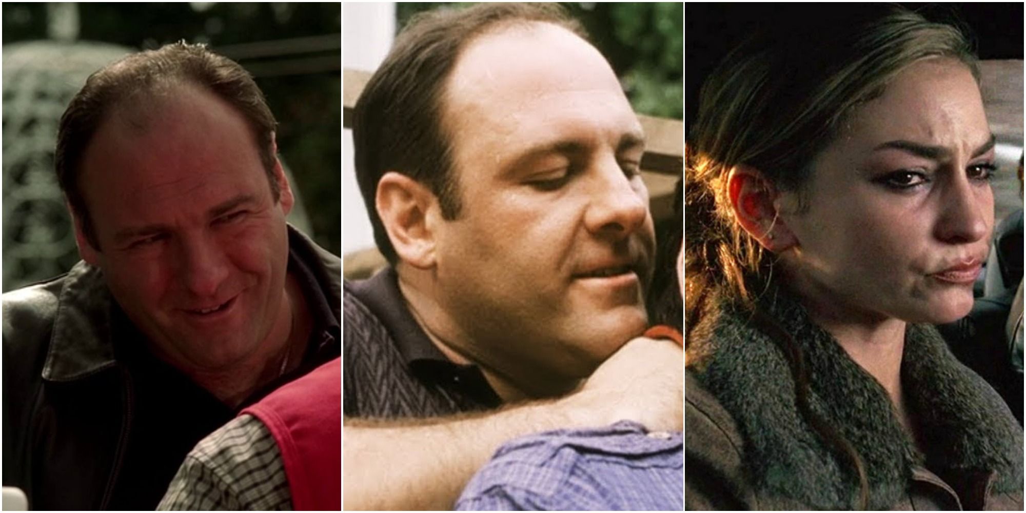 Tony Soprano Collage - 3 images The Sopranos