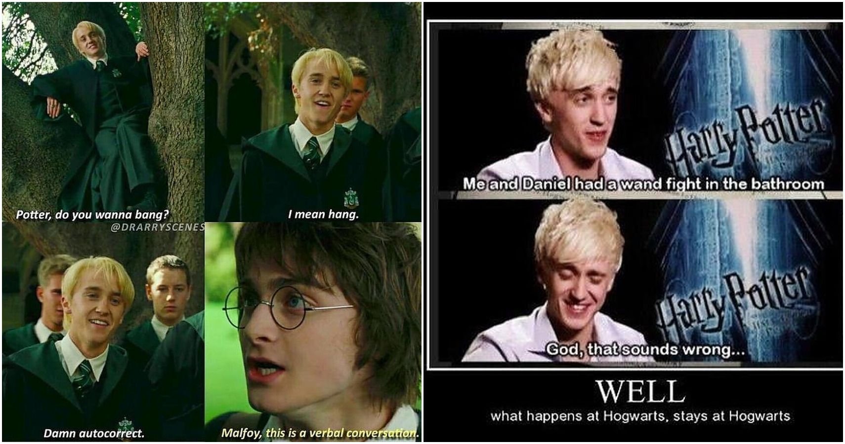 Drapple❤️  Draco harry potter, Harry potter memes, Harry potter