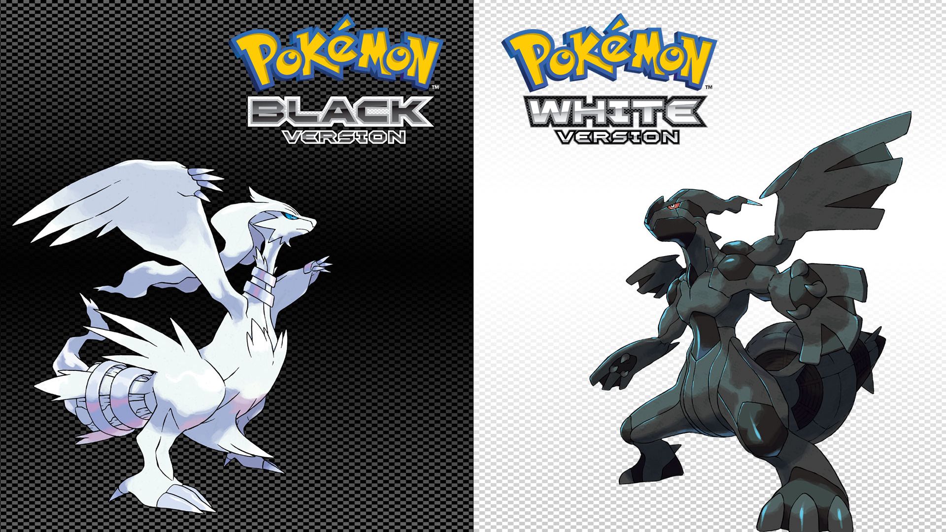 pokemon black white official art