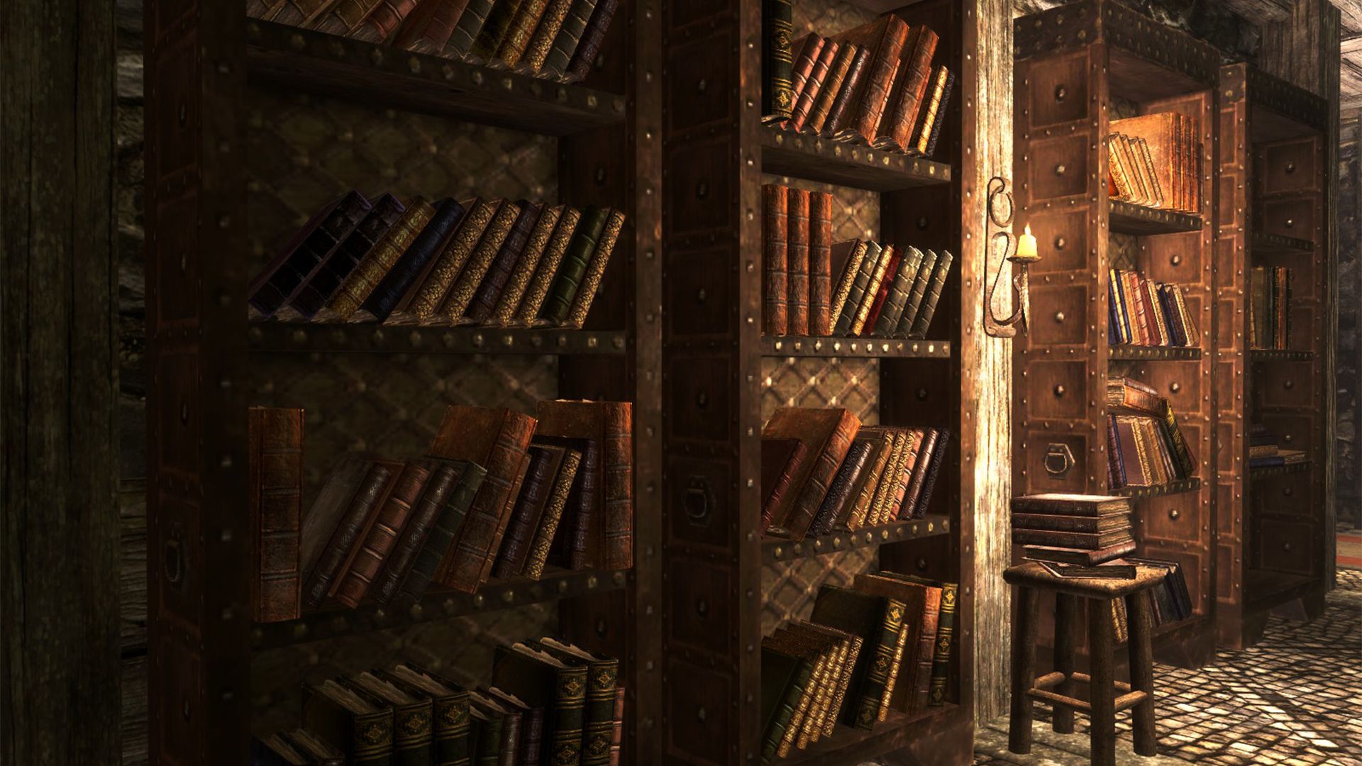 Skyrim Bookshelf Library