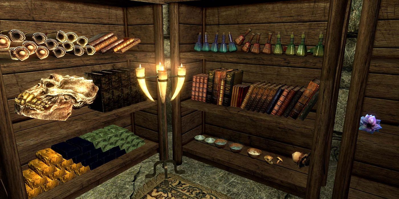 Skyrim Bookshelf Open-World Game Item Storage