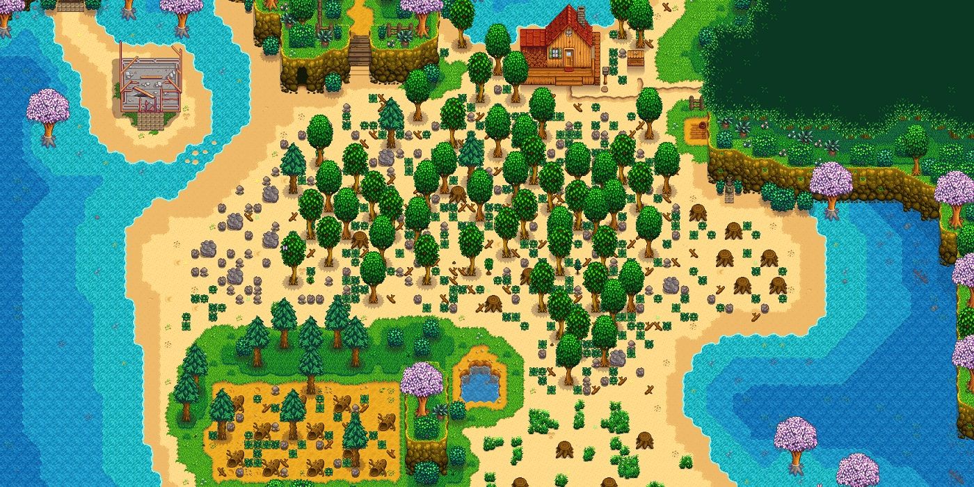 A layout of an undeveloped beach farm lot in Stardew Valley.