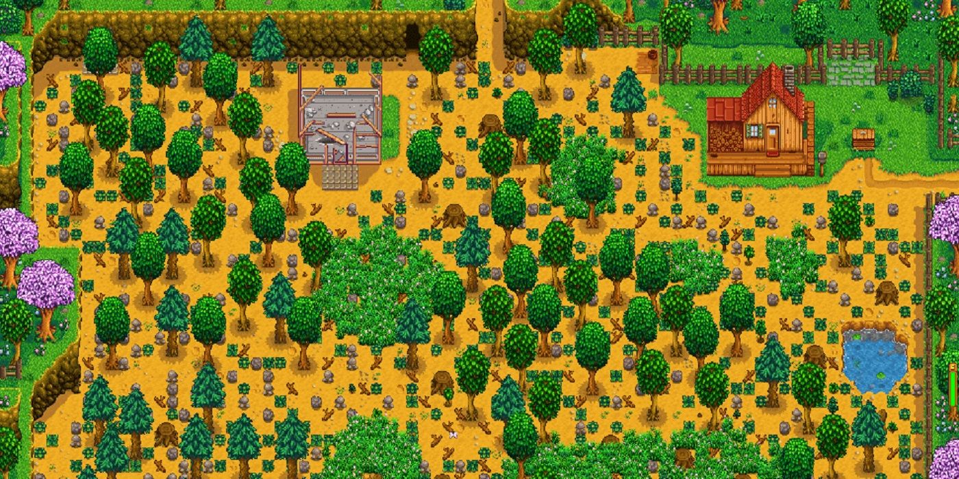 A layout of an undeveloped standard farm lot in Stardew Valley.