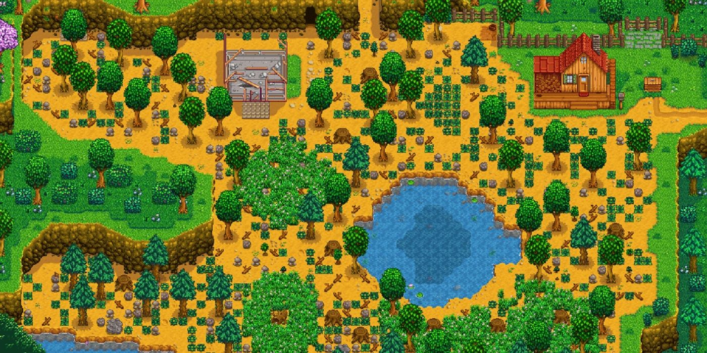 A layout of an undeveloped wilderness farm lot in Stardew Valley.