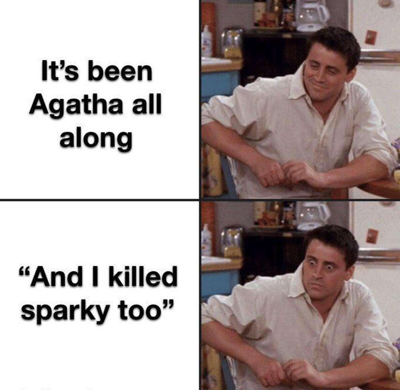 Agatha Harkness Meme featuring Joey from friends
