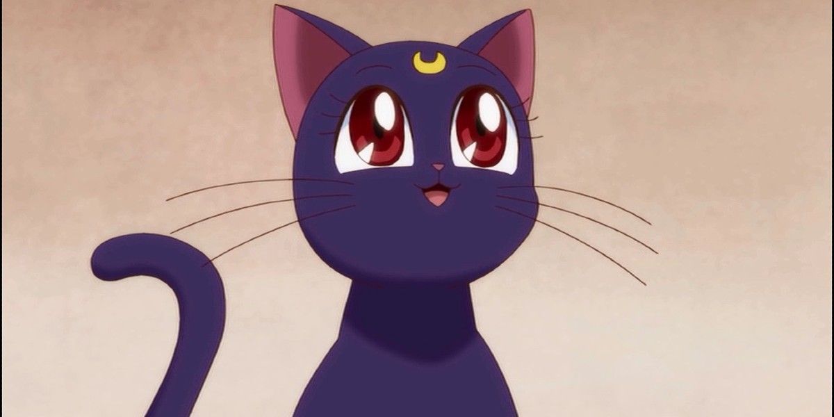 Luna smiling and looking up in Sailor Moon