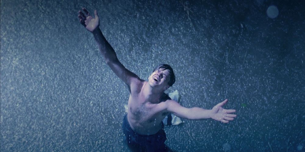Andy celebrates escaping prison in the rain in The Shawshank Redemption