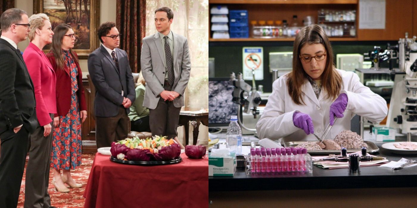 The Big Bang Theory Amy S 5 Best 5 Worst Career Decisions The Big Bang Theory Amy S 5 Best 5 Worst Career Decisions