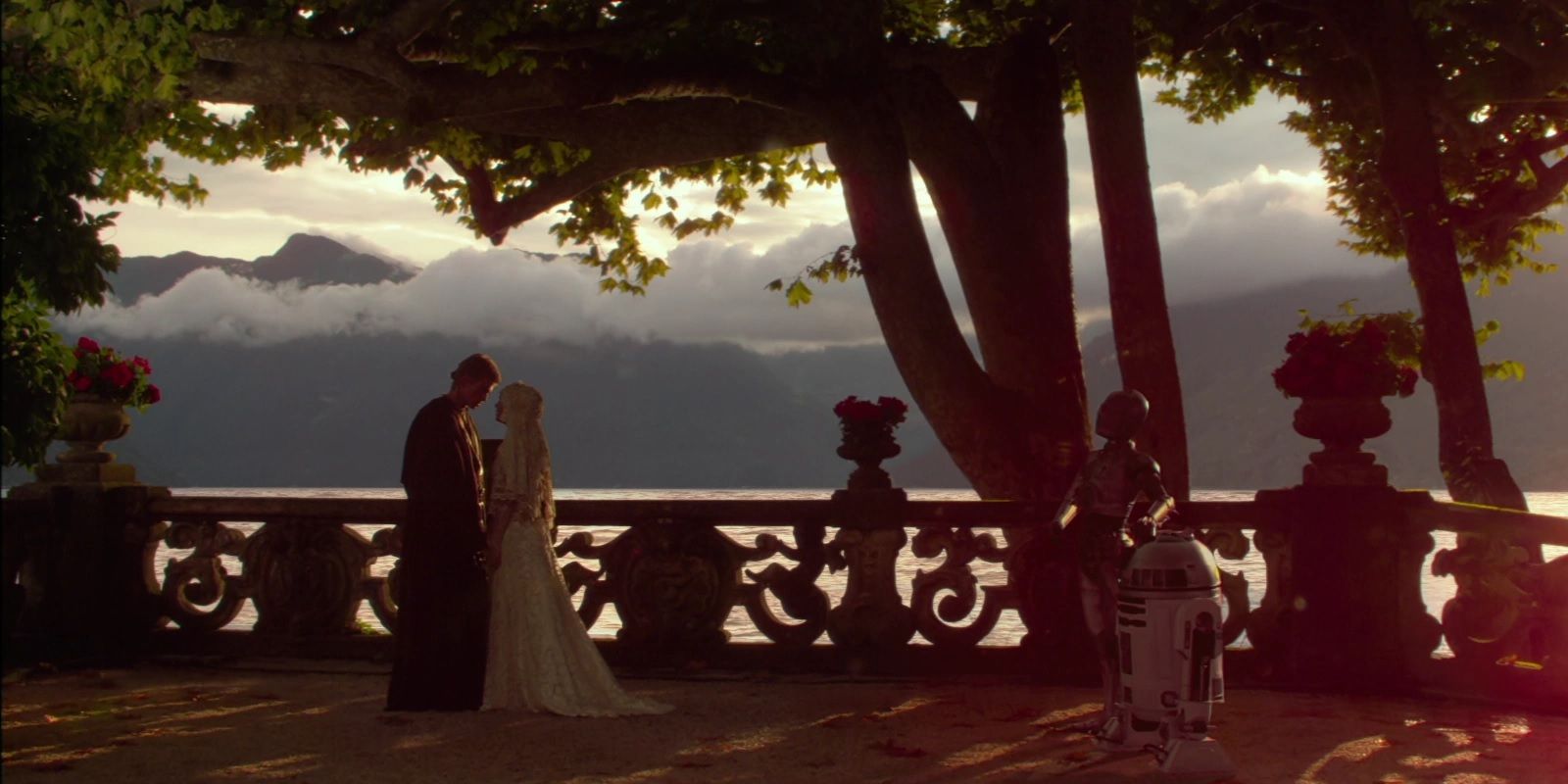 Anakin and Padme's secret wedding at the end of Attack of the Clones