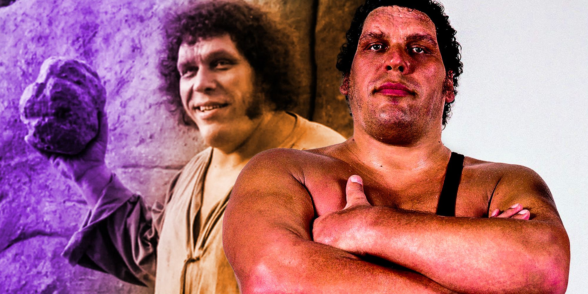 Every Andre The Giant Movie Ranked From Worst To Best
