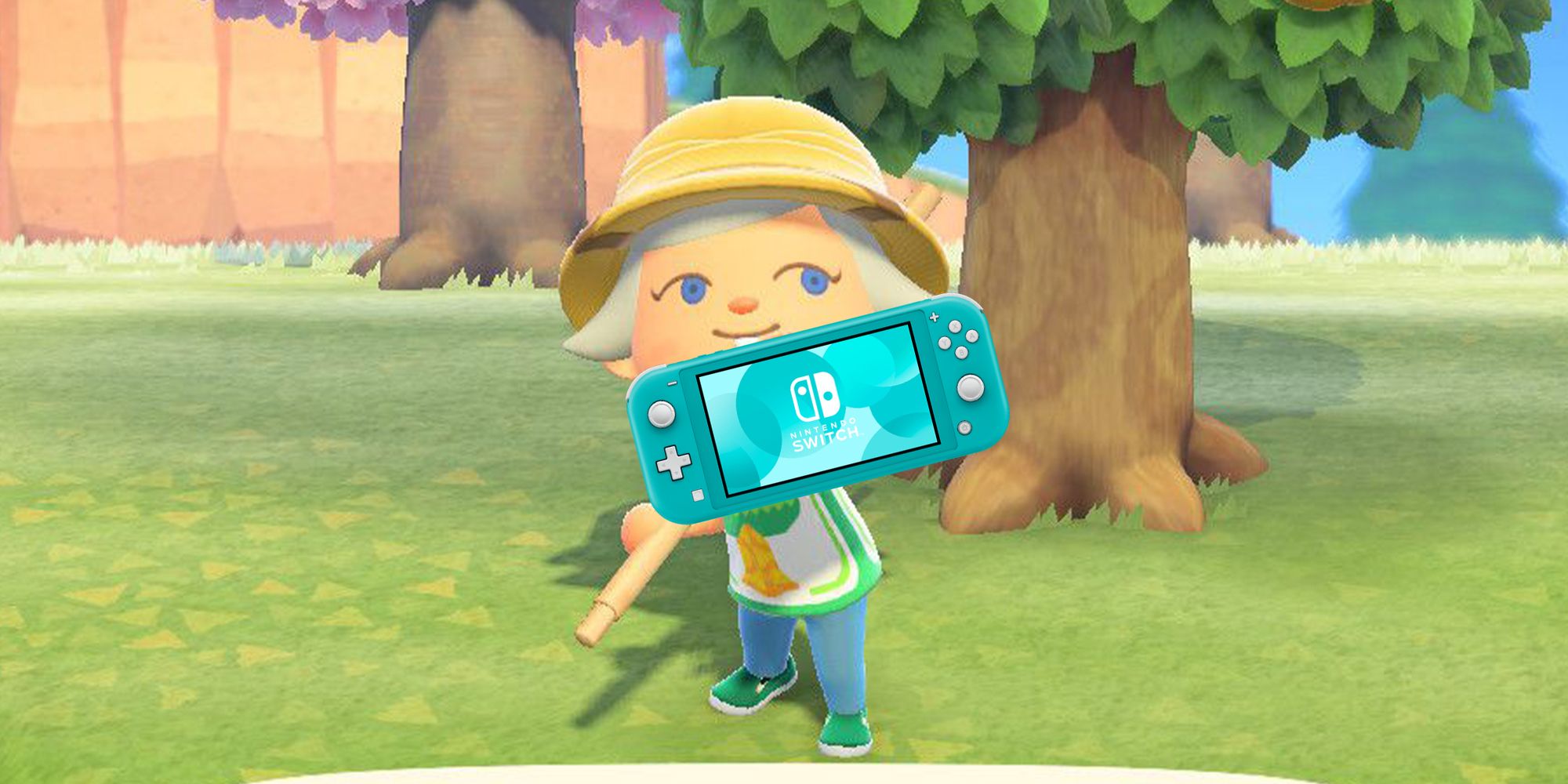 Animal Crossing Nintendo Switch Lite