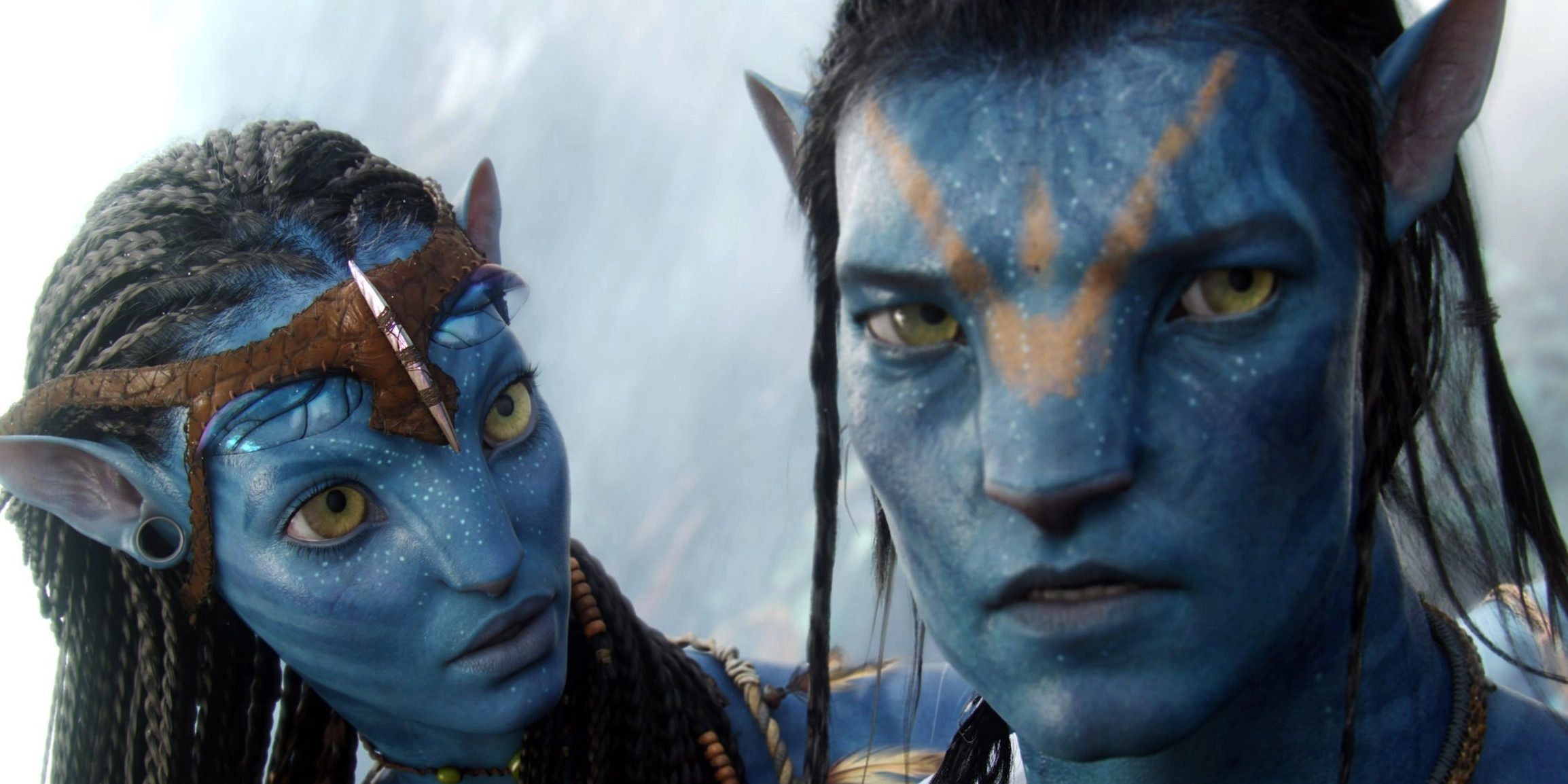 The environmental message of 2009's Avatar movie.