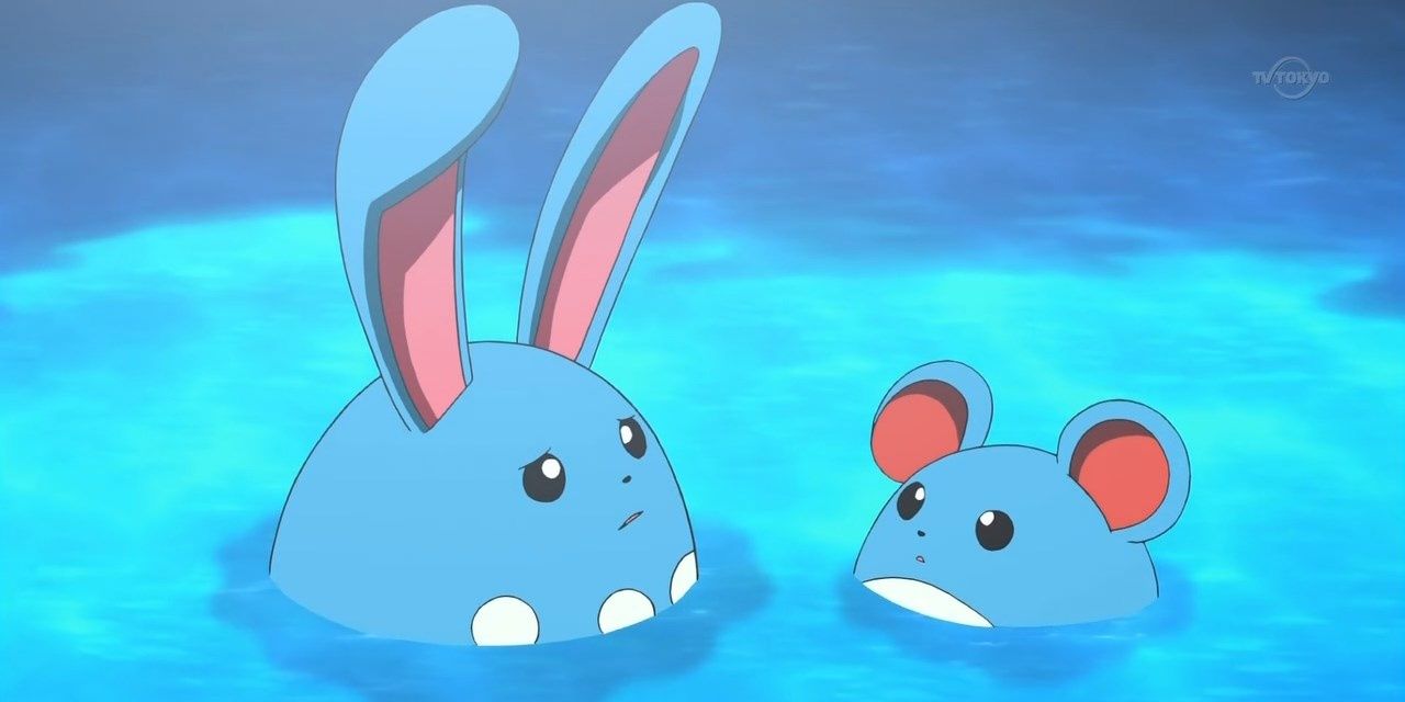 An Azumarill and a Marill in water.