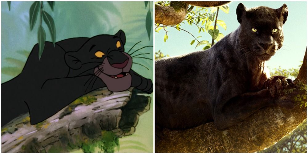 Bagheera Animated vs live action