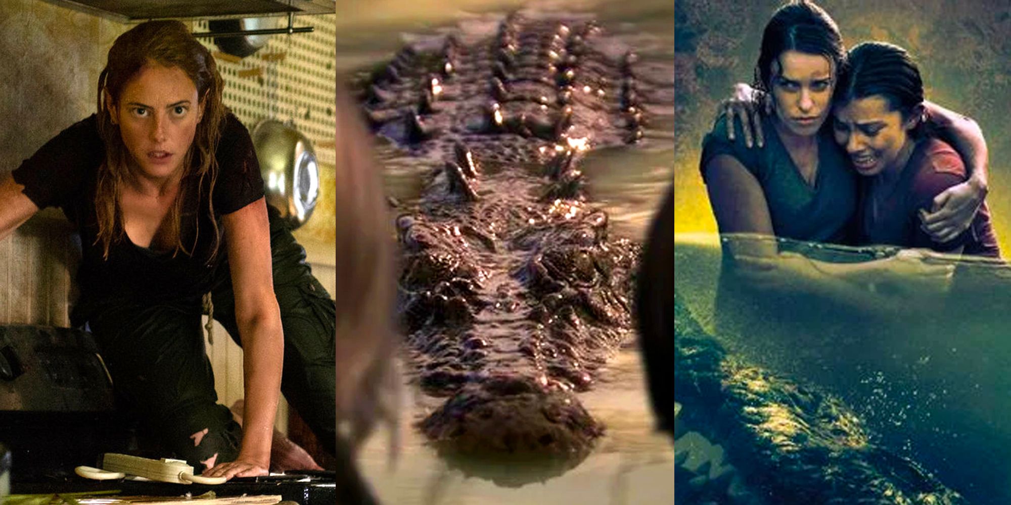 10 Best Crocodile/Alligator Horror Movies, Ranked - Featured Image