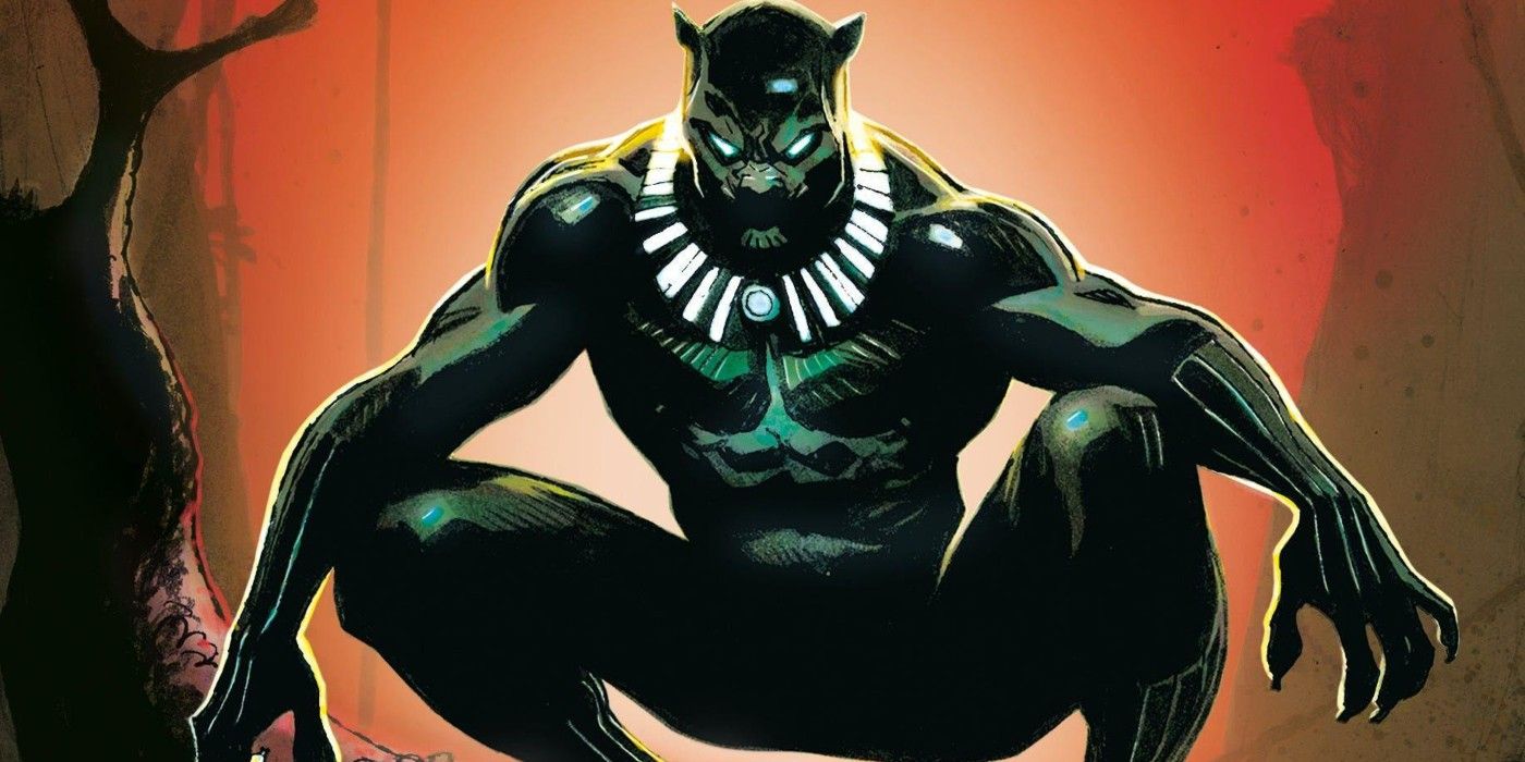 Black Panther wakanda
