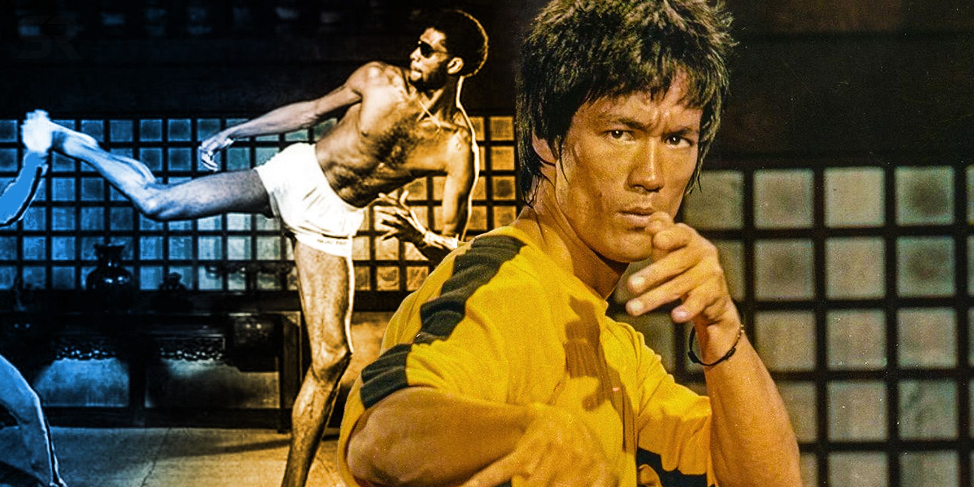 Bruce lee kareem abdul jabbar game store of death