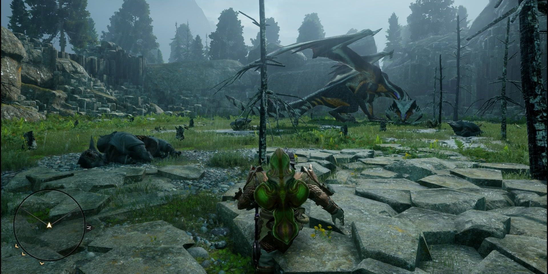 Dragon Age Inquisition Player Approaching Dragon