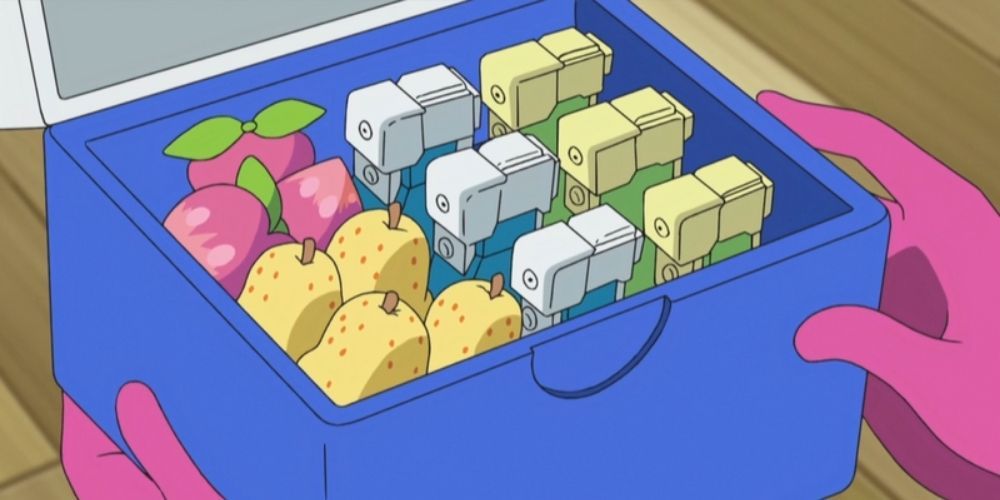 A case full of berries and Full Restores on the Pokémon Anime