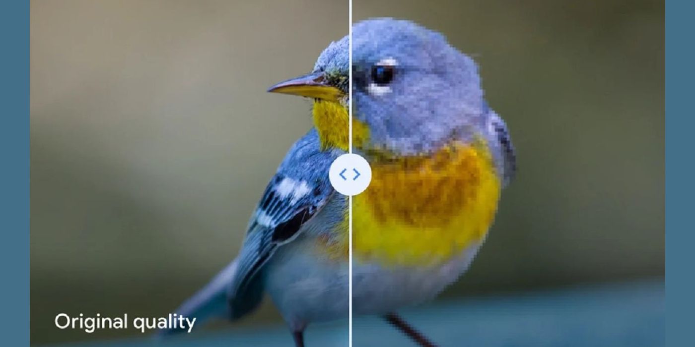 Why google photos says you shouldn t save your photos in high quality 
