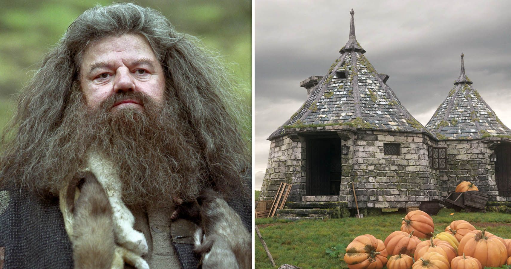 Split image of Hagrid and Hagrid's hut