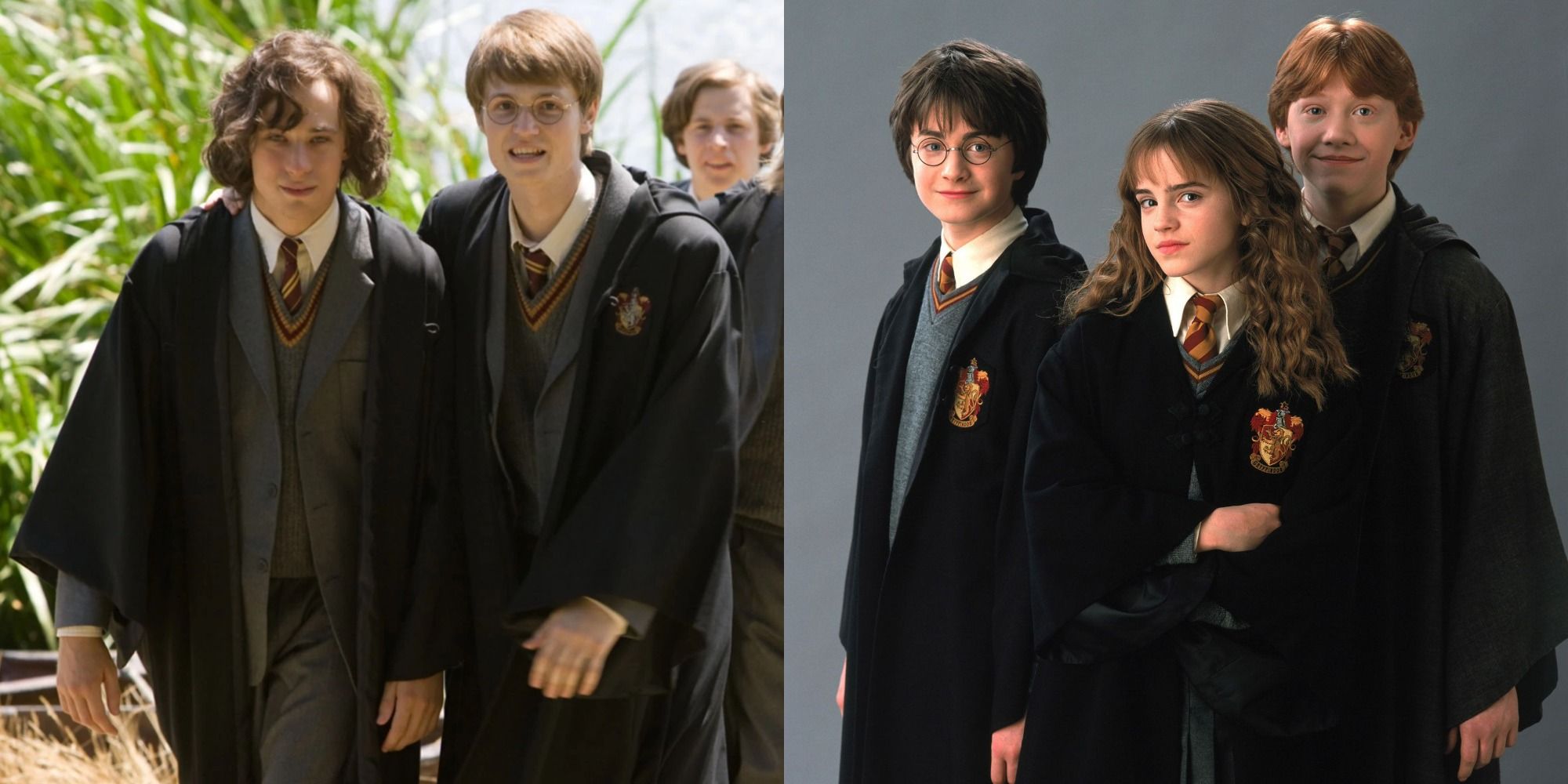 Harry Potter Polyamorous Relationships — Sirius, James, Remus, Harry, Hermione, Ron