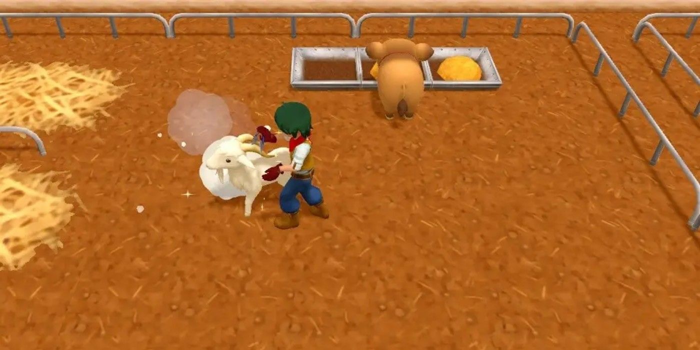 A player sheers a Cashmere Goat in Harvest Moon: One World