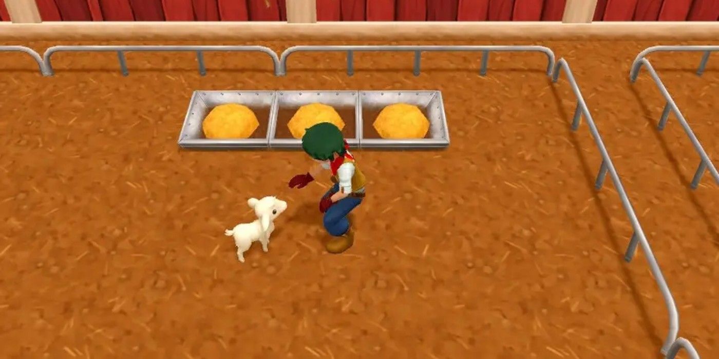 How to Get More Cashmere in Harvest Moon One World