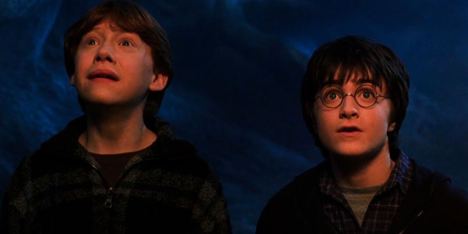 Harry and Ron in the Forbidden Forest.