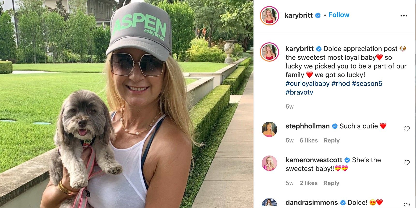 Real Housewives of Dallas Most Popular Current Housewives, Ranked By