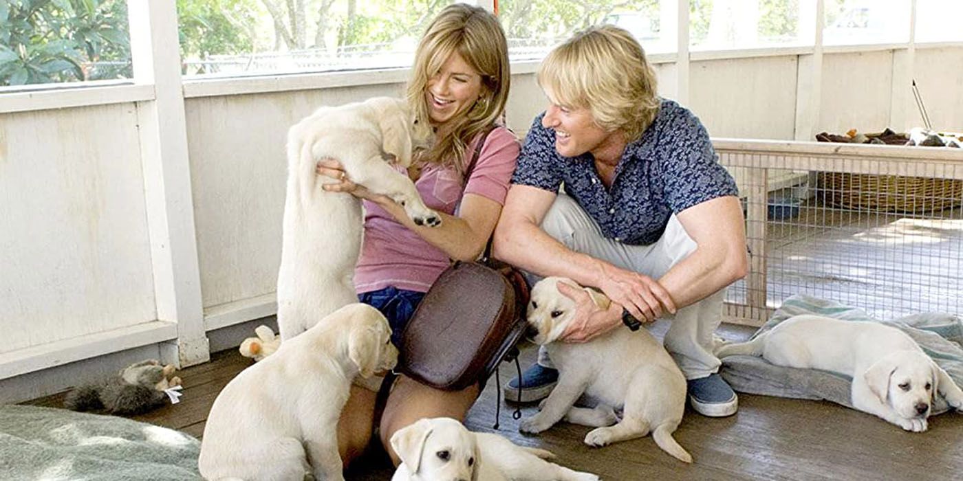 John and Jenny at the pound with puppies in Marley & Me.
