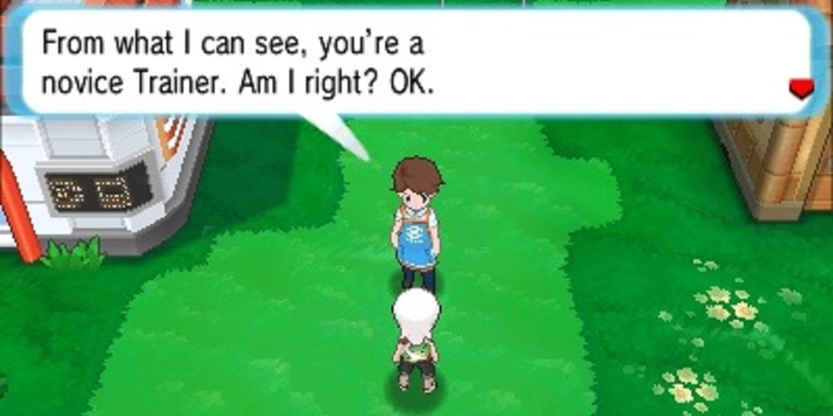 The player talking to an NPC on a grassy field