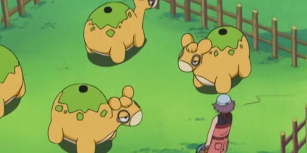 A pack of Numel in the Pokémon anime.