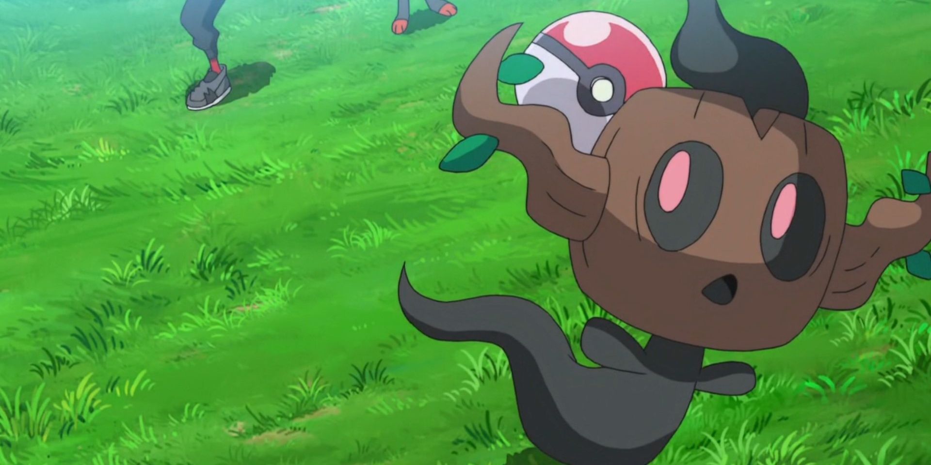 Phantump about to be caught