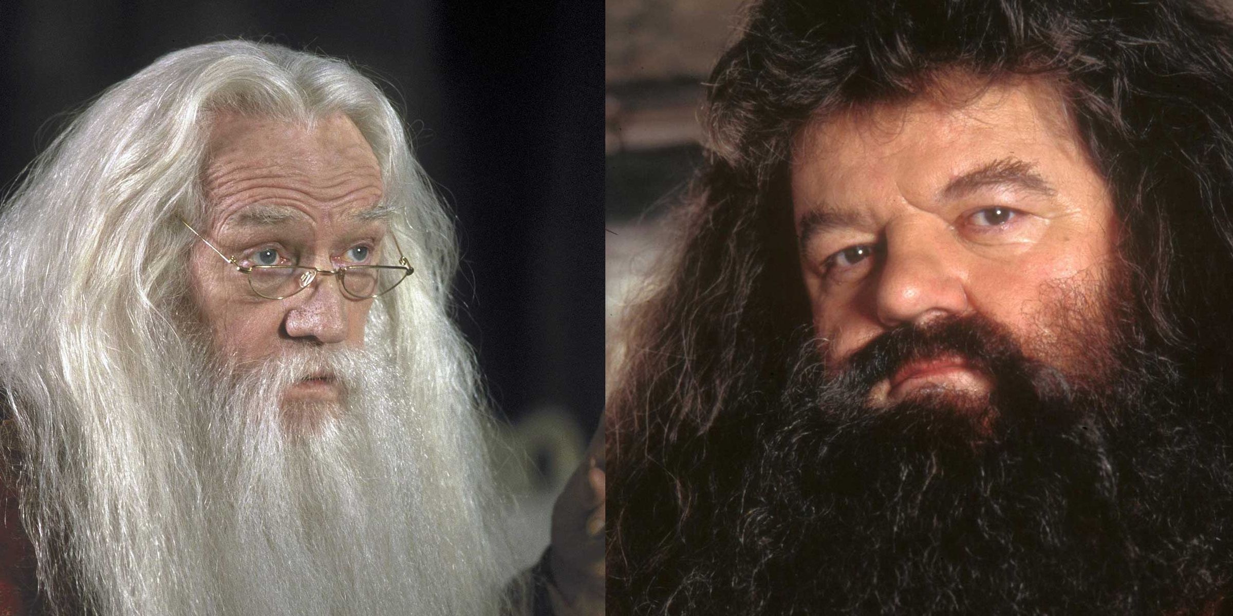 Professor Dumbledore and Hagrid from the Harry Potter franchise