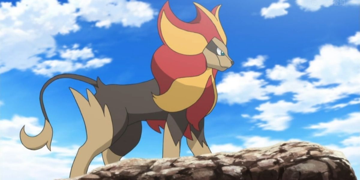 A Pyroar looking over his pride in the Pokémon anime