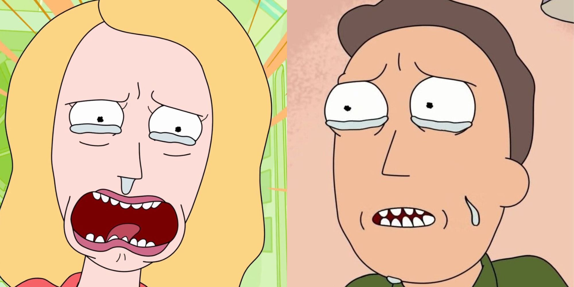 Beth and Jerry Smith from Rick and Morty