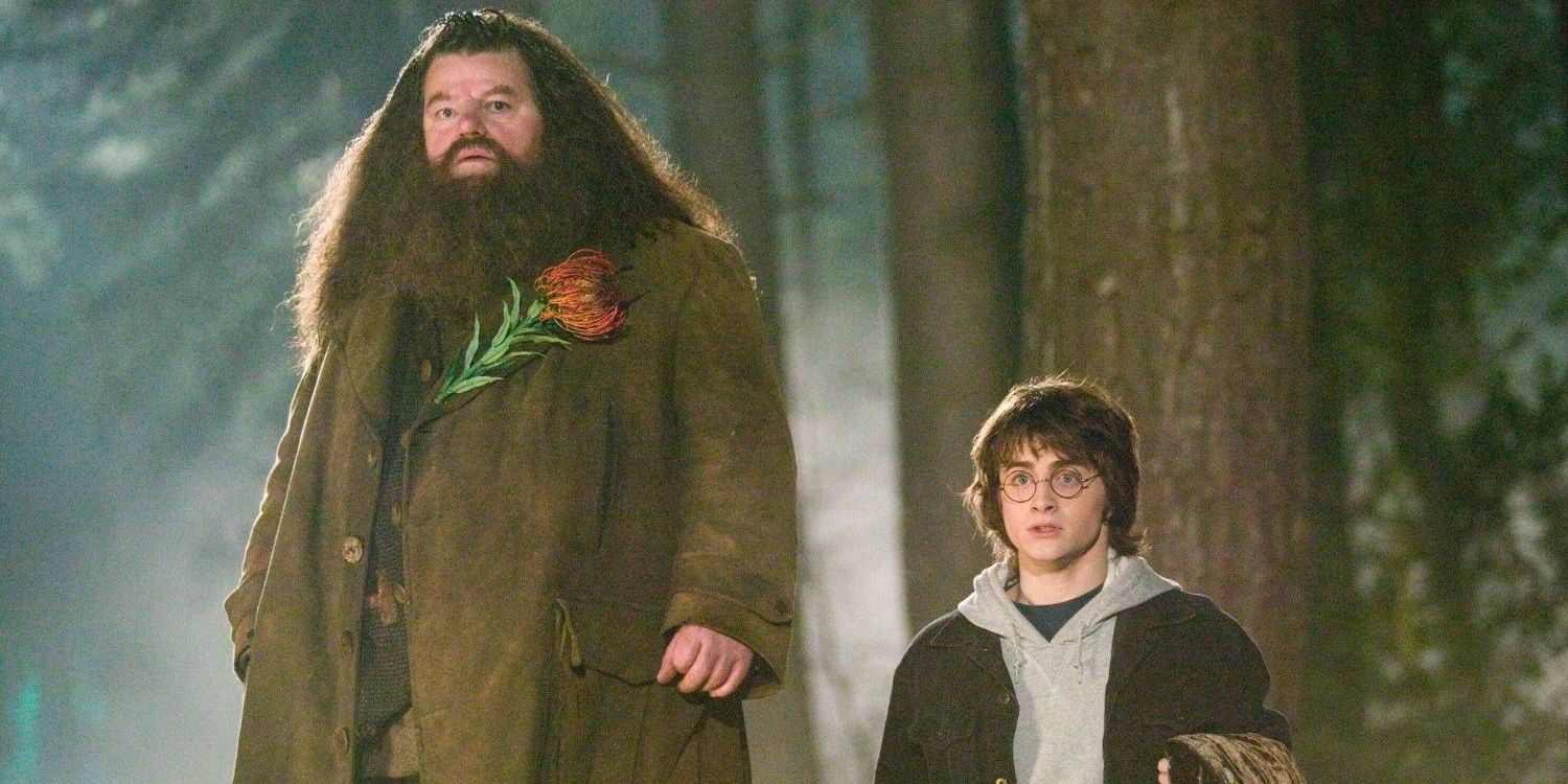 Hagrid and Harry Potter together in the Dark Forest in the Chamber of Secrets.