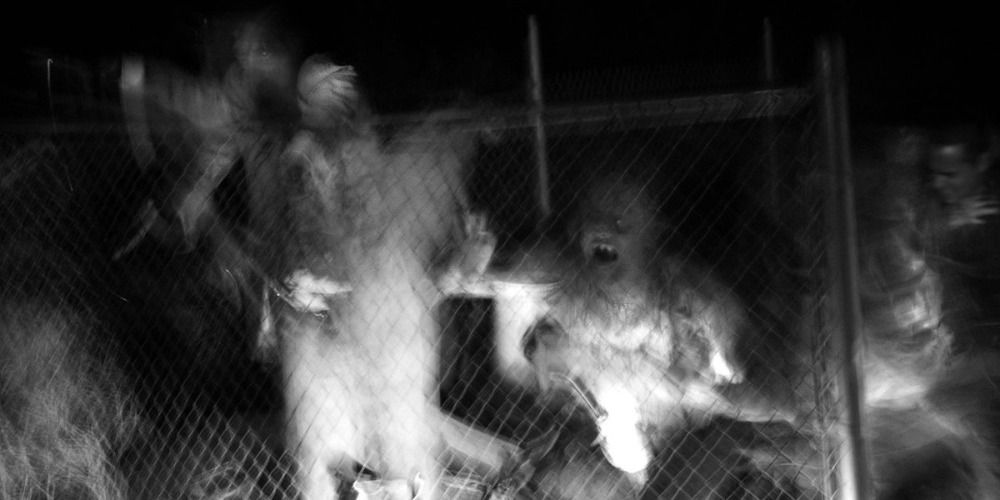Blurry black and white photo from Savageland of zombies and their victims