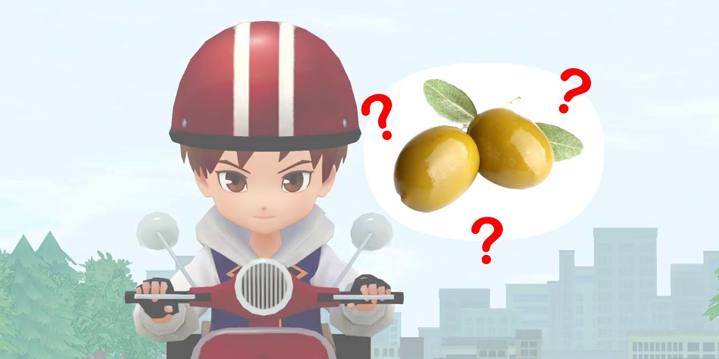 Story of Seasons Pioneers Of Olive Town Olives