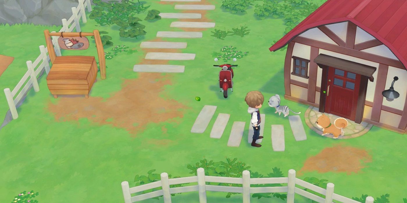 Story of Seasons Pioneers of Olive Town Upgrades