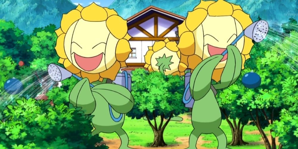 Three Sunflora watering plants in the Pokémon anime