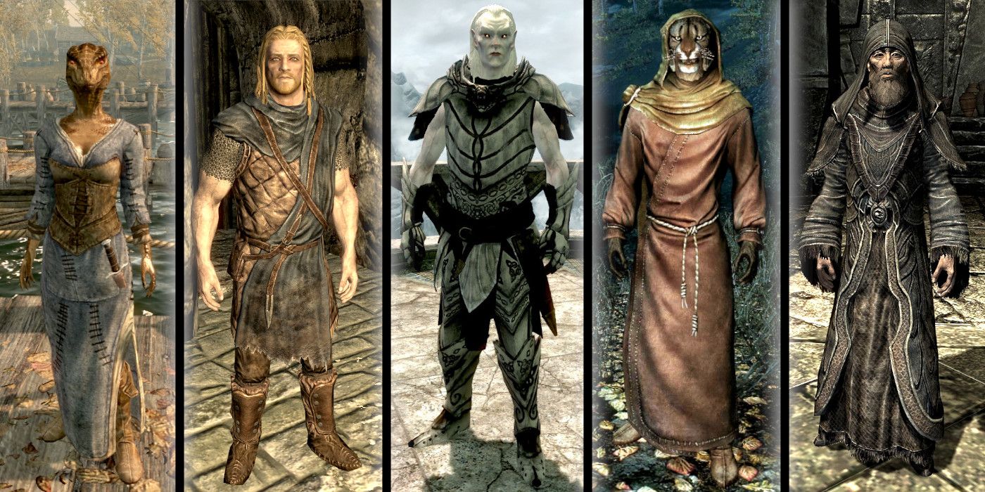 Argonian, Nord, Snow Elf, and Khajiit all from The Elder Scrolls 5: Skyrim