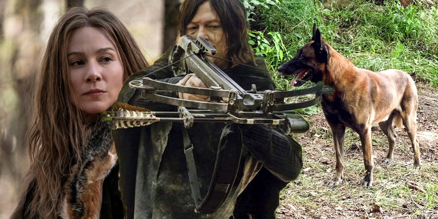 The Walking Dead Daryl