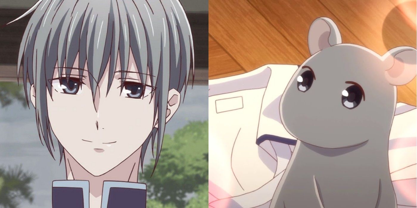 Fruits Basket: Every Soma Zodiac Character & Their Animal Transformation