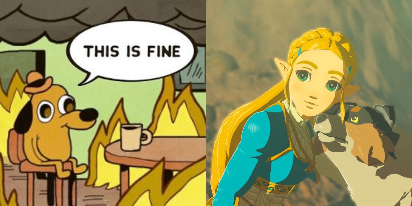 The Legend Of Zelda: 10 Breath Of The Wild Link Memes That Are Too