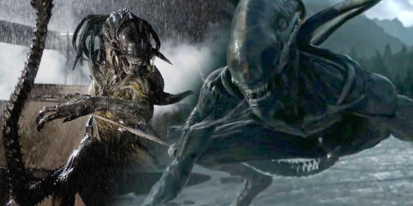 alien vs predator game meme