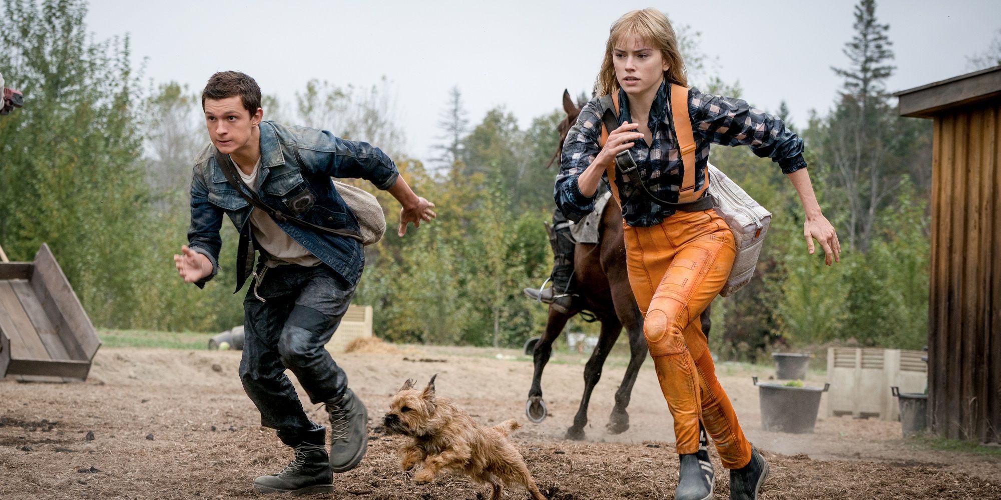 An image of Tom Holland and Daisy Ridley running with a dog in Chaos Walking