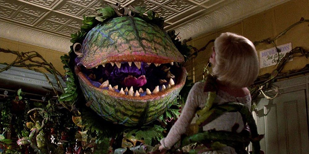 Audrey II lifts Audrey in Little Shop of Horrors