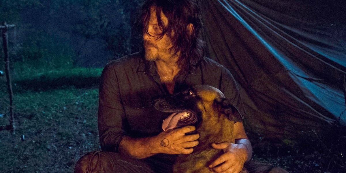daryl and dog in the walking dead